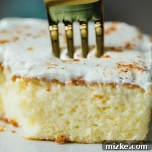 Eggnog tres leches cake is the perfect light, airy, and moist cake for the holidays. Whether you love or hate eggnog, this cake will make anyone love it and it's perfectly festive for the holiday season!