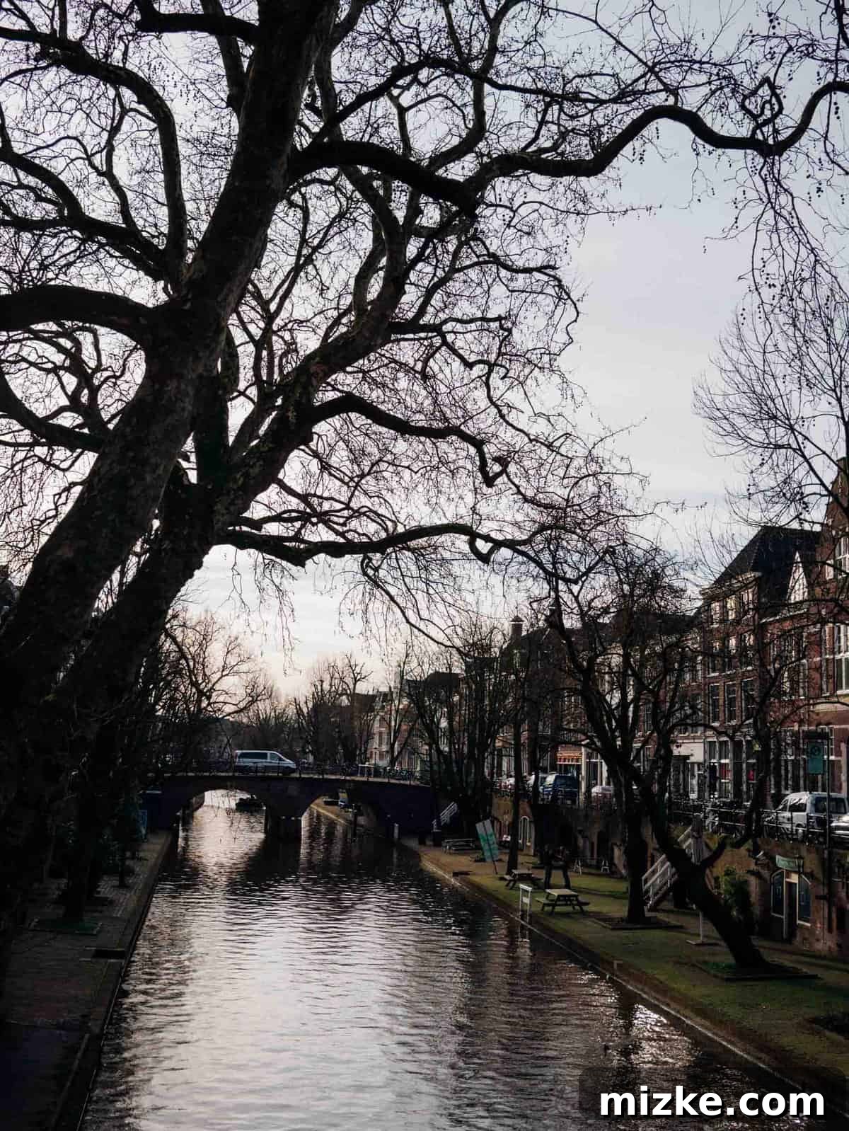 Utrecht: Discovering the Netherlands' Vibrant Heart 7 Discovering the tranquil beauty of Utrecht, a hidden gem near Amsterdam with serene canals and stunning architecture.