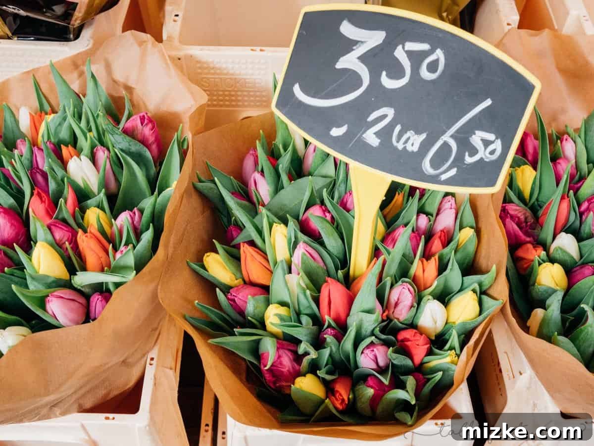 Food and Markets in Amsterdam | Places to Eat and Where to Find the Markets in Amsterdam, Netherlands