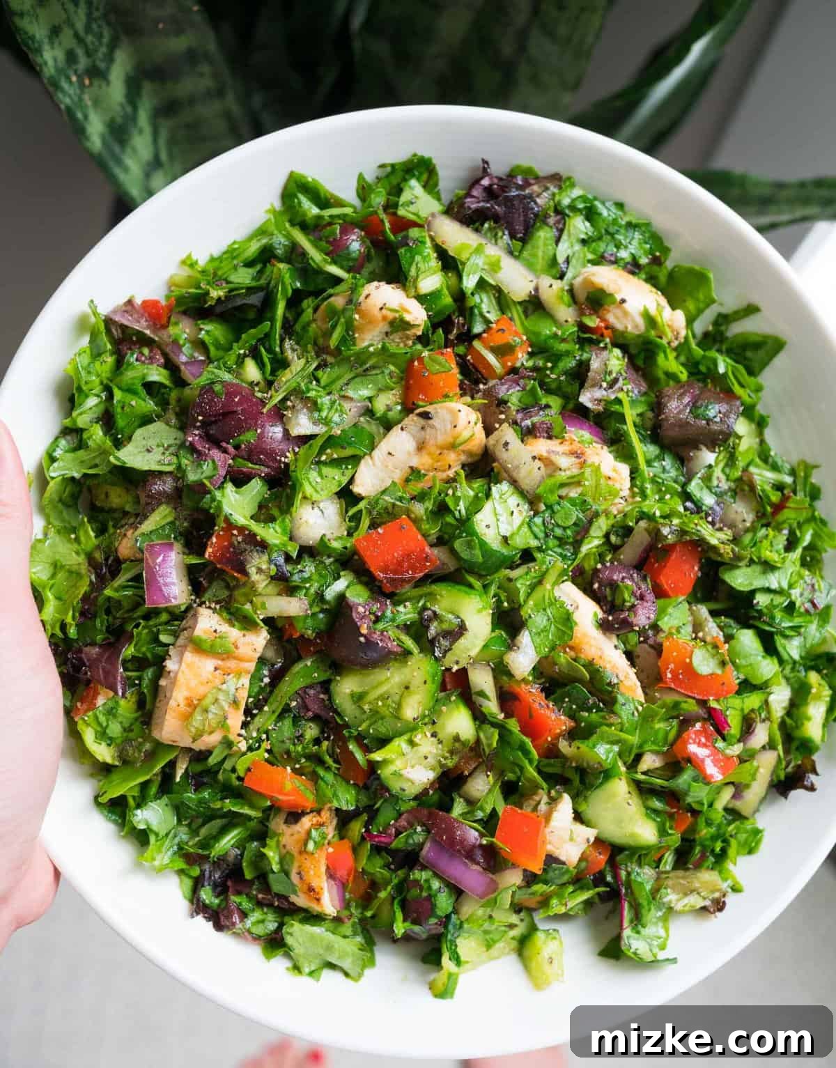 Quick & Easy Chopped Salad with Roasted Red Peppers and Chicken for a Healthy Meal A vibrant, quick and easy basic chopped salad with fresh greens, roasted red peppers, cucumbers, and chicken, perfect as a versatile meal base.