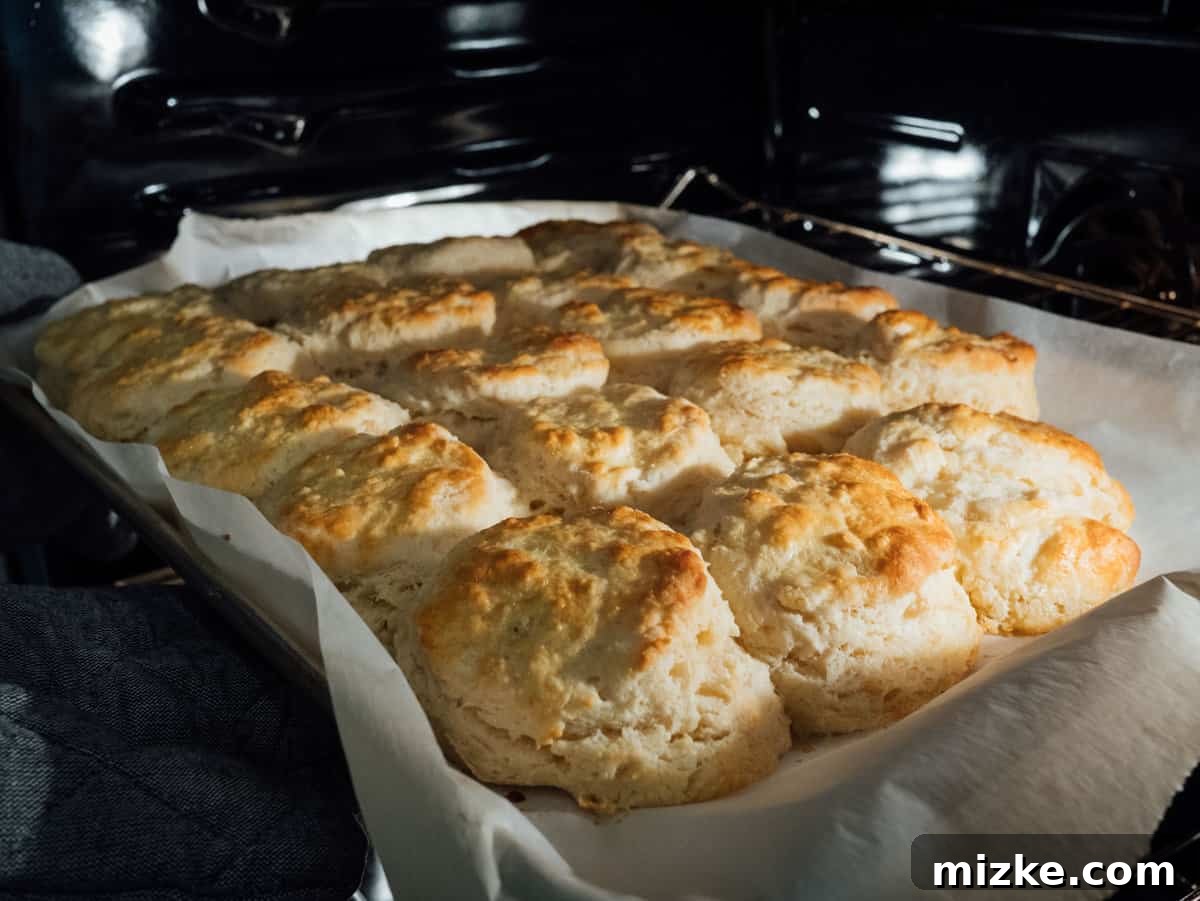 Joanna Gaines' Fluffy Buttery Biscuits: The Ultimate Homemade Recipe for Breakfast Perfection You'll want these biscuits on your breakfast table! They're so fluffy, buttery, and incredibly tender. You won't be able to just eat one! #biscuits #breakfast #breakfastrecipes