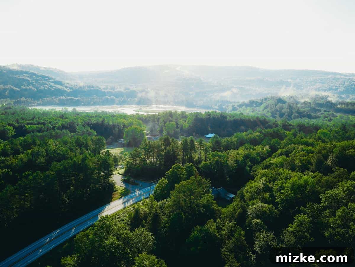 Your Ultimate Guide to Woodstock Vermont 21 Breathtaking aerial view of Vermont's dense green forests from a hot air balloon