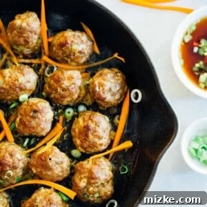 Flavorful Asian pork meatballs perfect for topping rice noodles or a bowl of rice, also great for party appetizers.