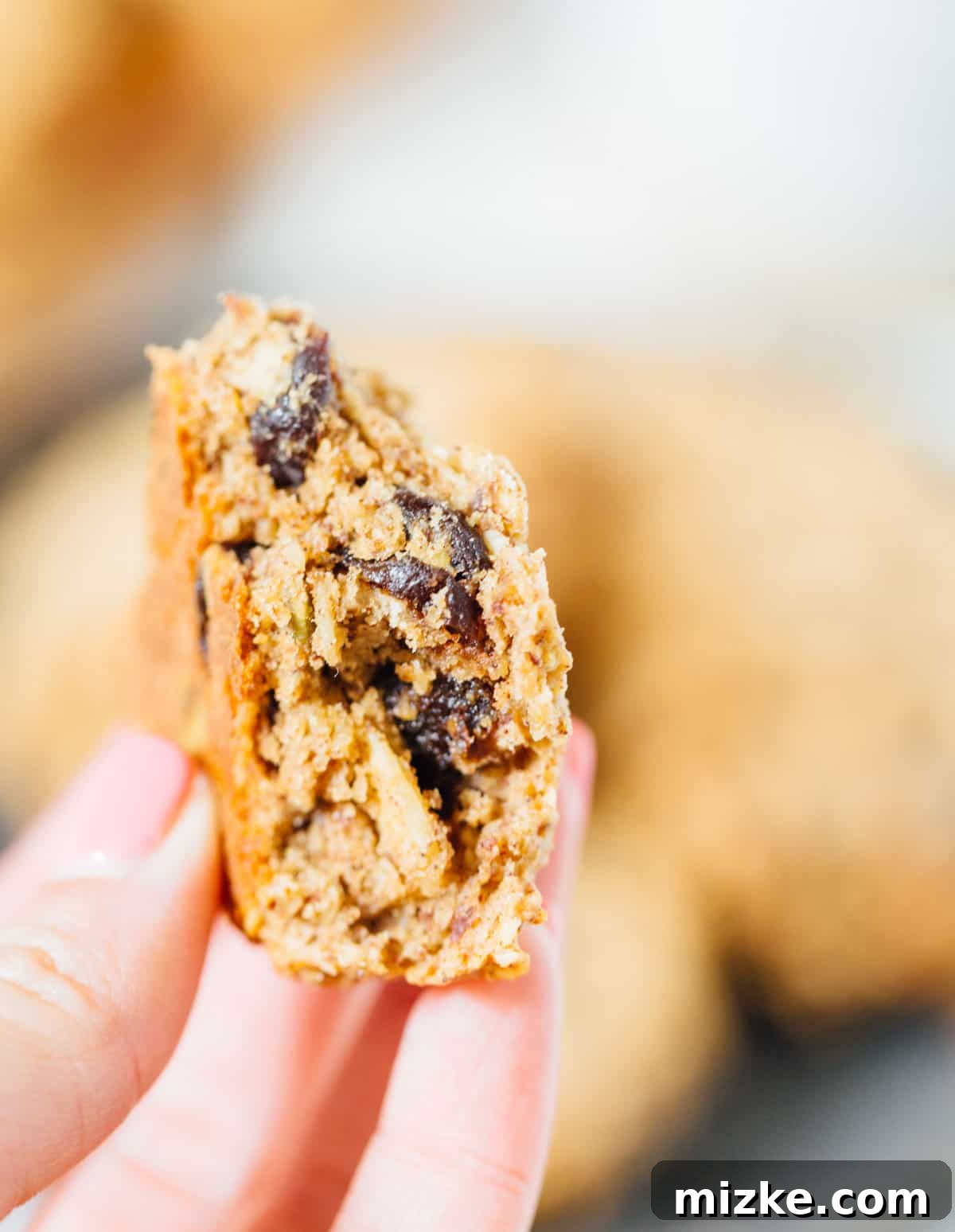 Cross-Section of Healthy Breakfast Cookie An open, halved vegan and gluten-free breakfast cookie, revealing its rich, dense interior and abundant mix-ins like pumpkin seeds and dried cranberries.