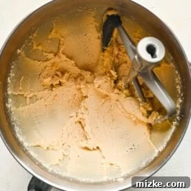 Heavenly White Chocolate Chip Cookies 7 Butter and sugars creamed together in a metal stand mixer bowl with a paddle attachment.