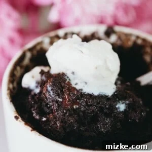 Dark Chocolate Mug Cake ready to serve