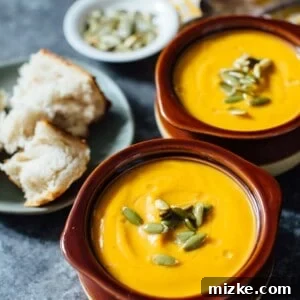 A creamy seasonal soup that you can have year-round. This Instant Pot autumn harvest butternut squash soup is a copycat from Panera that you know and love!