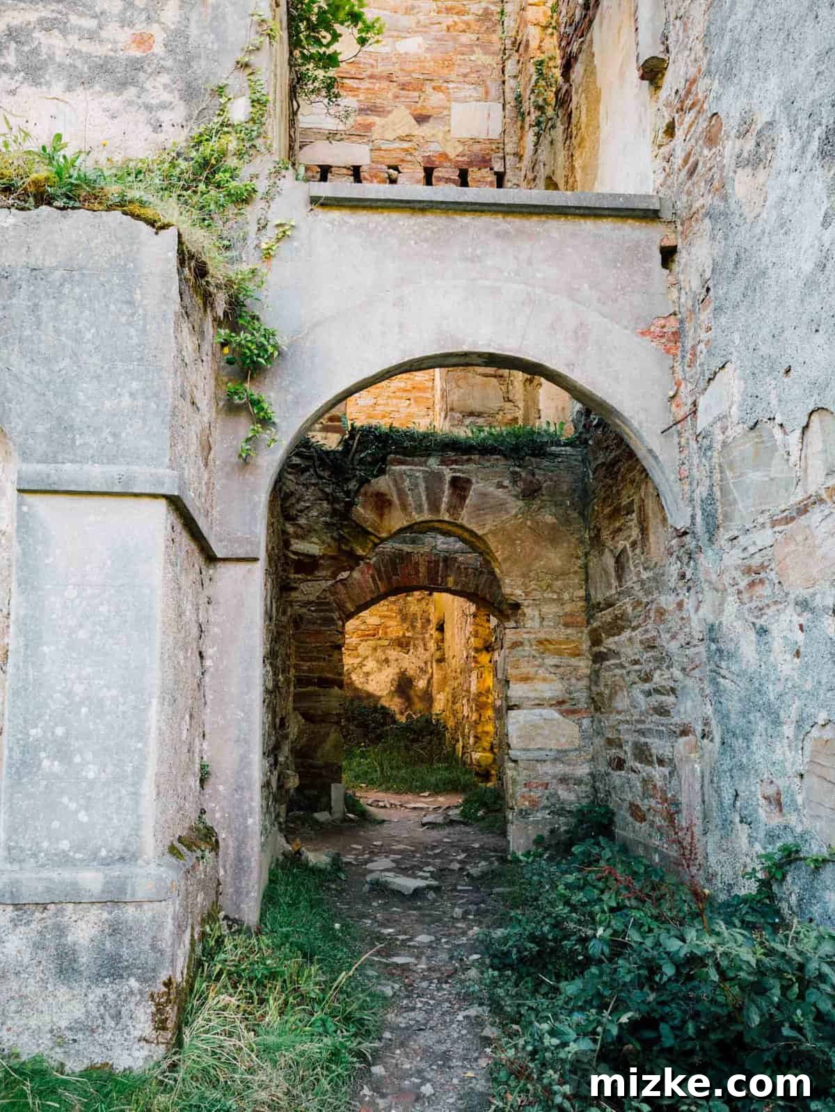 Clifden Castle's Historic Arches Archway and stone structures within the abandoned Clifden Castle