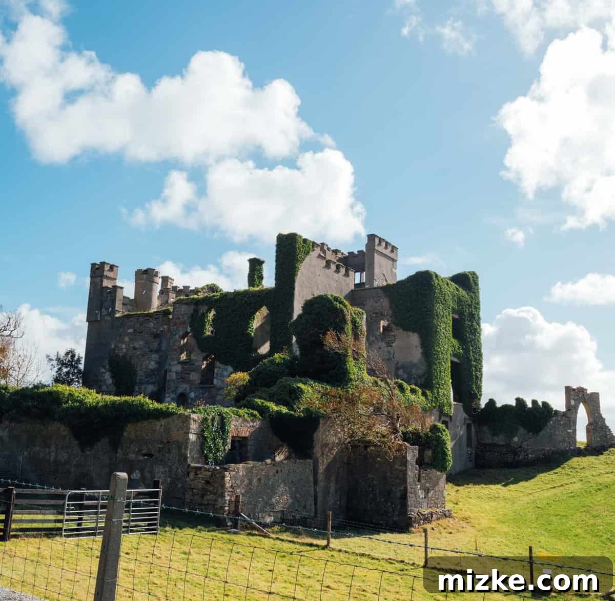Clifden Castle: A Hidden Gem in Connemara Panoramic view of Clifden Castle ruins set against the rolling green hills of Connemara