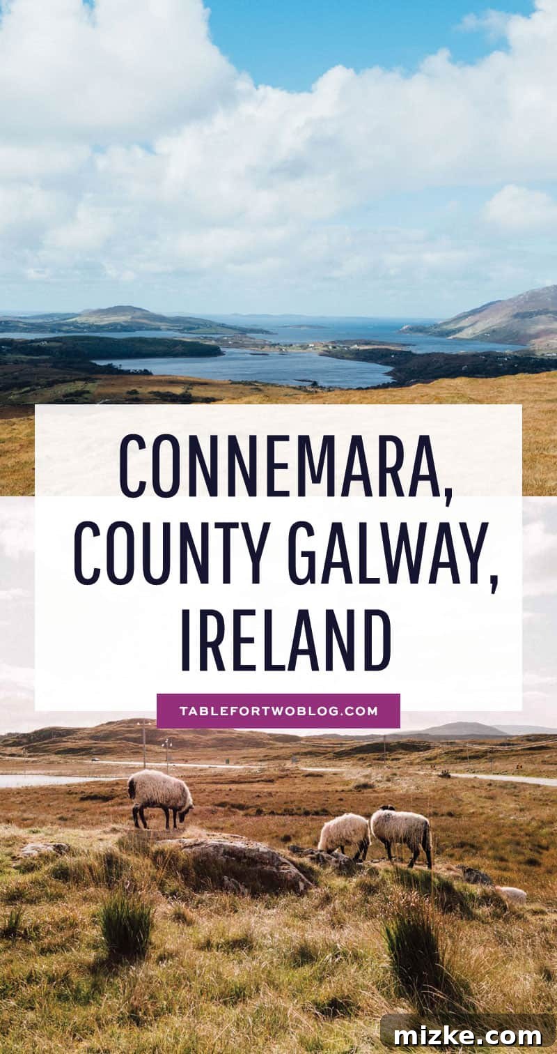 Idyllic Connemara Scenery with Grazing Sheep Lush green Connemara landscape with sheep grazing, embodying the serene Irish scenery