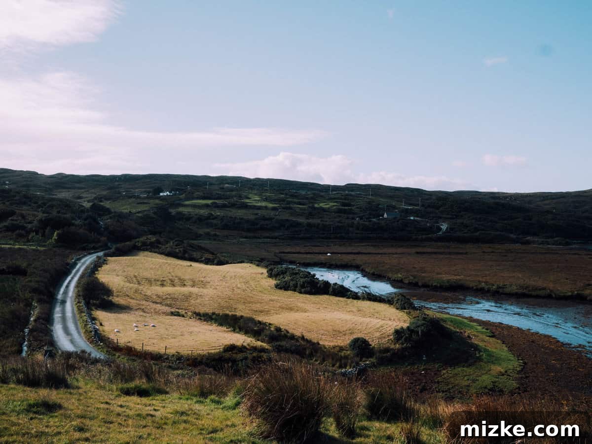 The Picturesque Scenery of the Connemara Loop Panoramic view of the Connemara Loop landscape with mountains, lakes, and winding roads