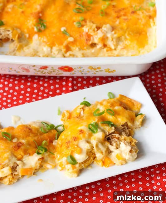 Creamy Chicken Enchilada Bake 2 Close-up of baked white chicken enchiladas, golden brown and bubbly
