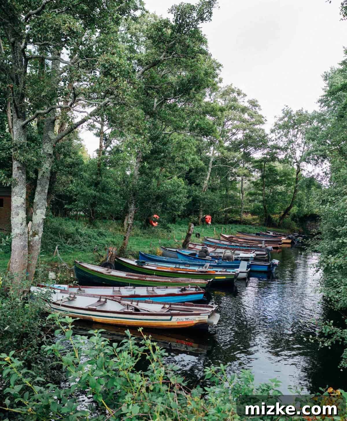 Killarney: Ireland's Emerald Gem 15 Historic Ross Castle by Lough Leane in Killarney National Park, surrounded by green trees and calm water