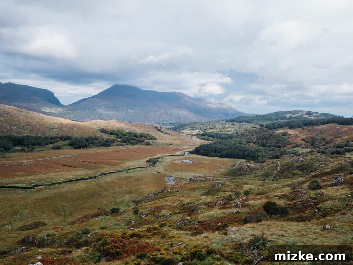 Killarney: Ireland's Emerald Gem 4 Rolling green hills with scattered trees under a dramatic sky, characteristic of Irish countryside