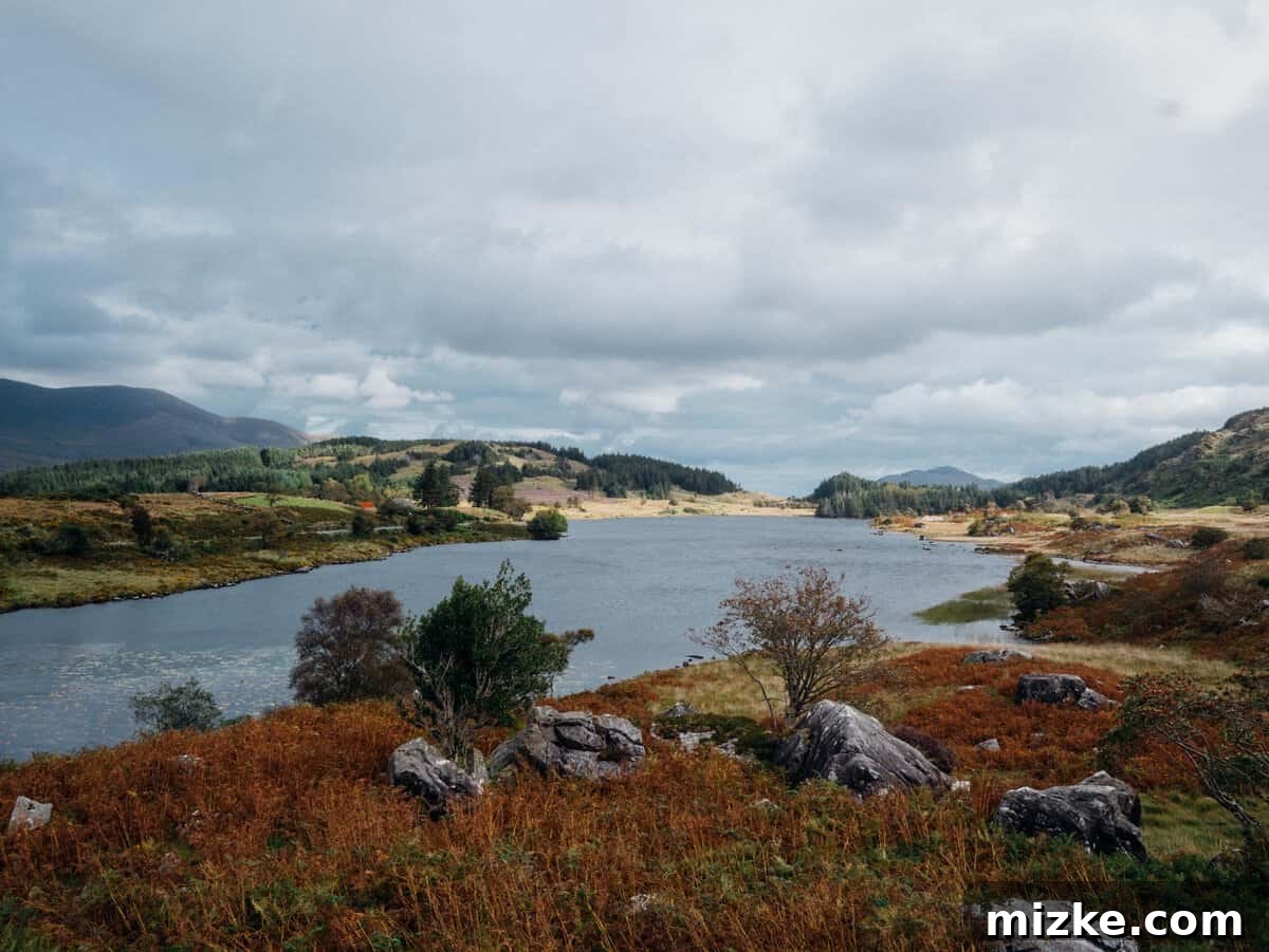 Killarney: Ireland's Emerald Gem 7 Tranquil forest path with dense green trees and moss-covered ground, peaceful nature scene