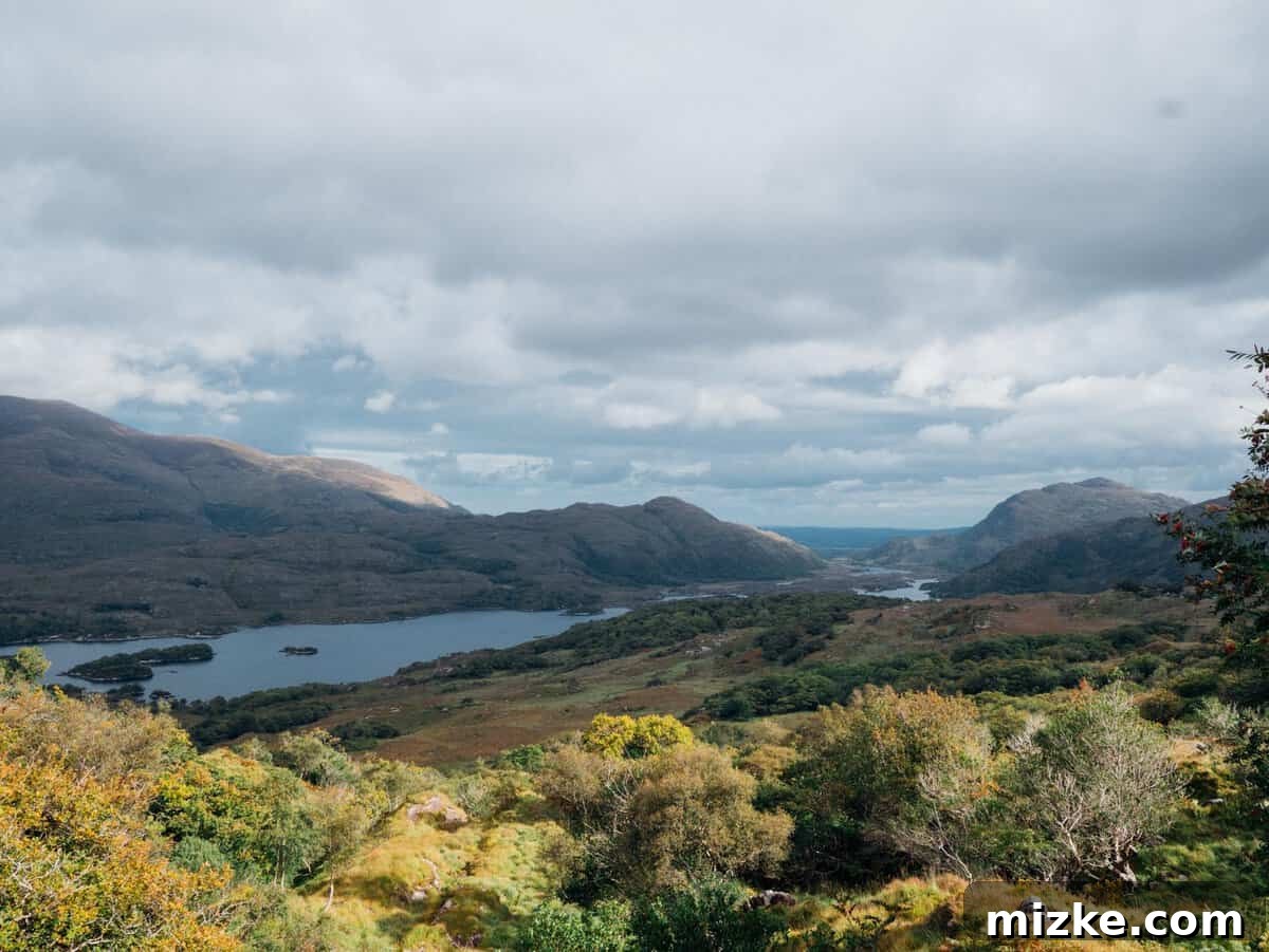 Killarney: Ireland's Emerald Gem 8 Scenic view of a winding river or stream flowing through a lush green valley with mountains in the background