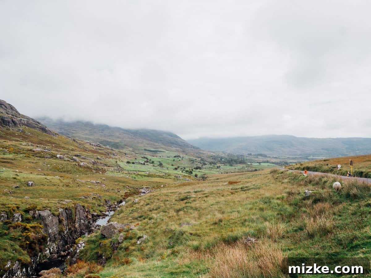 Ireland's Rugged Beara Peninsula 22 Close-up of a stone wall and rugged vegetation alongside Healy Pass road