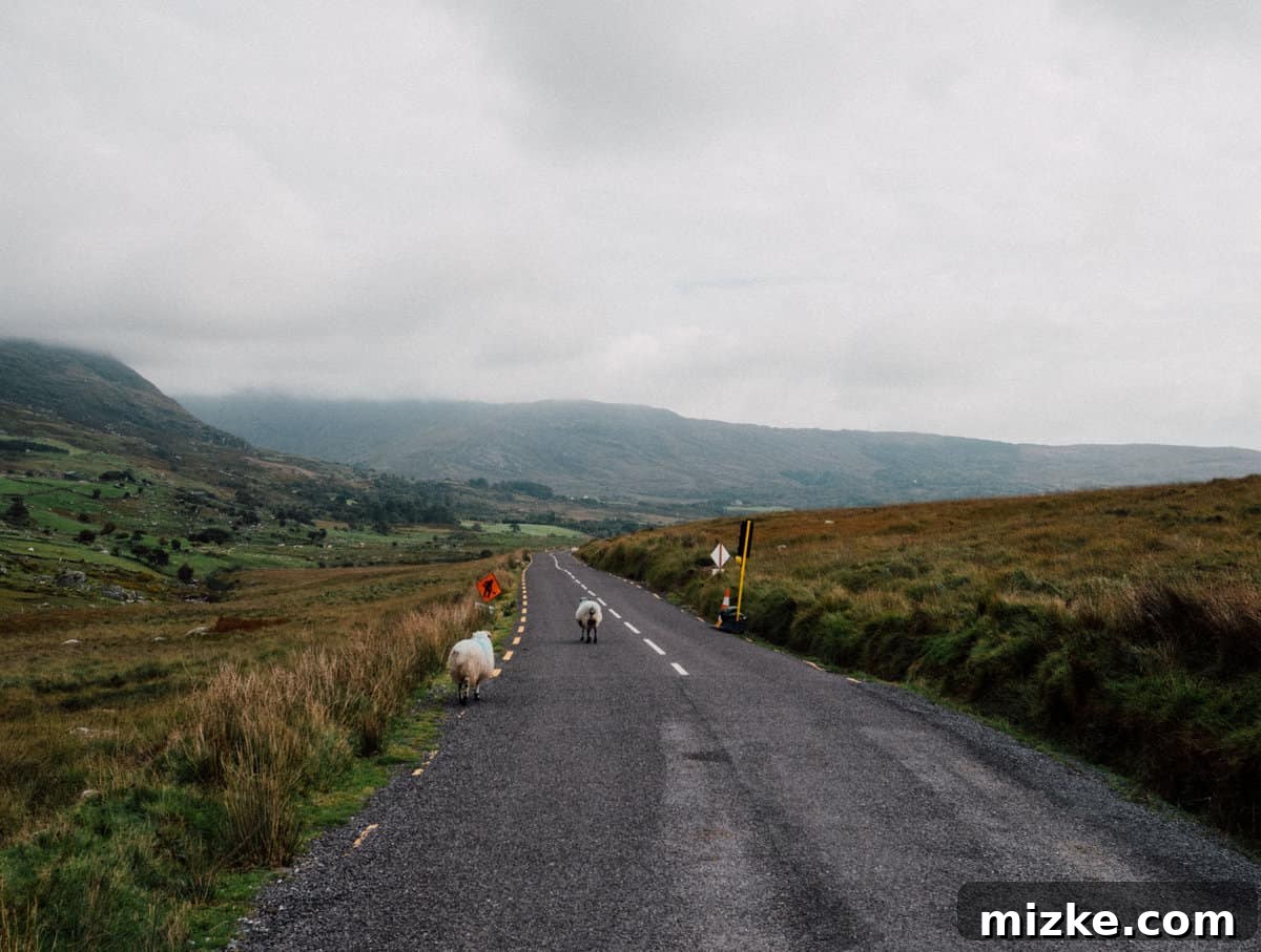 Ireland's Rugged Beara Peninsula 25 Mountain stream flowing alongside the road on Healy Pass, with green mossy rocks