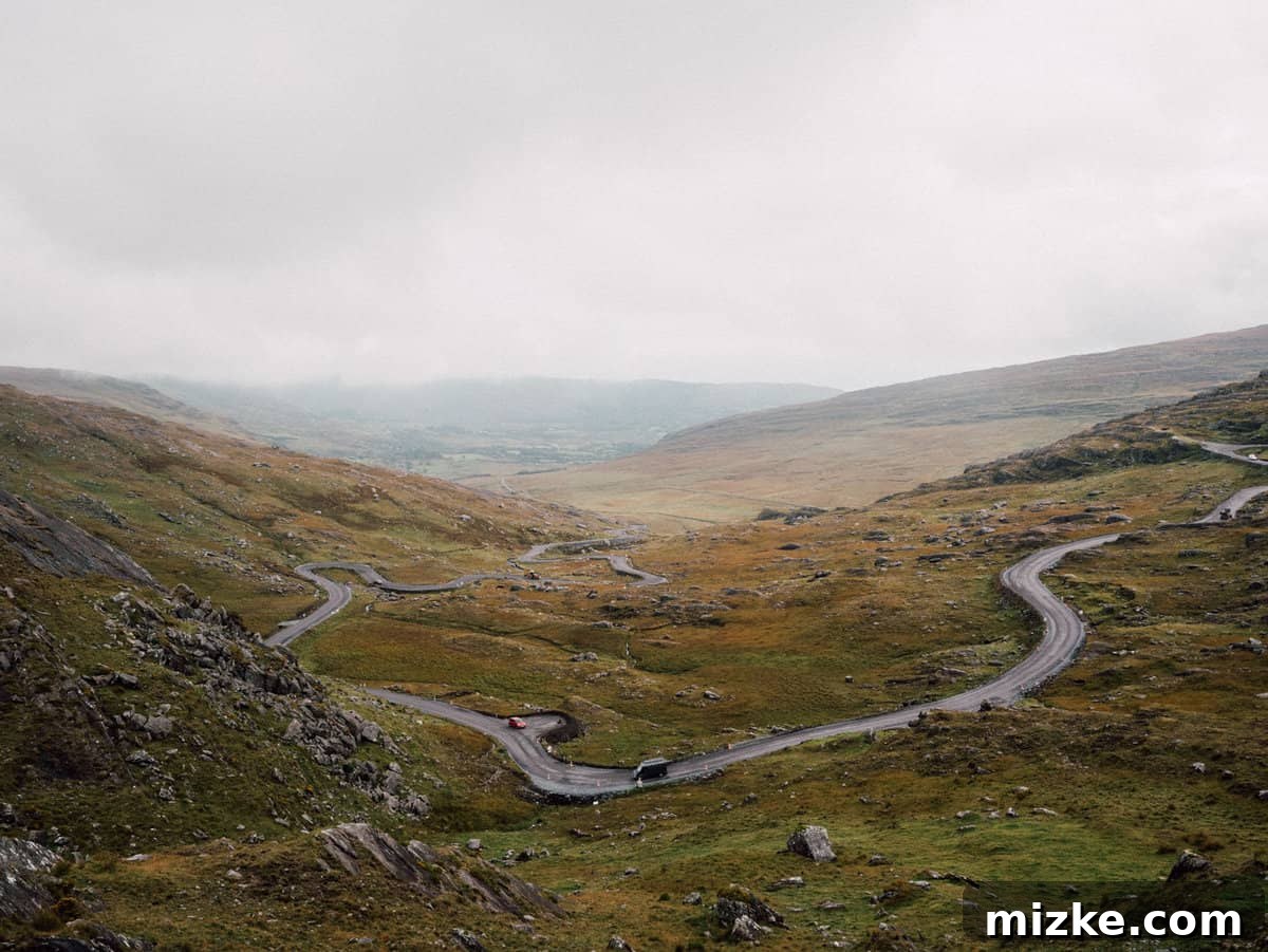 Ireland's Rugged Beara Peninsula 26 A flock of sheep casually walking on the road, oblivious to anything, a common sight in rural Ireland