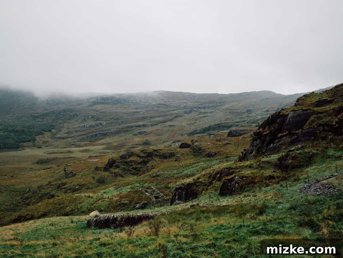 Ireland's Rugged Beara Peninsula 4 Winding road through rolling green hills on the Beara Peninsula with stone walls