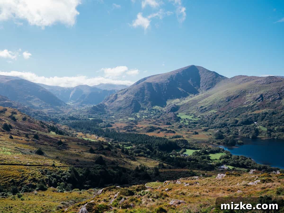 Ireland's Rugged Beara Peninsula 33 Rolling green hills and a road leading through a serene Irish landscape