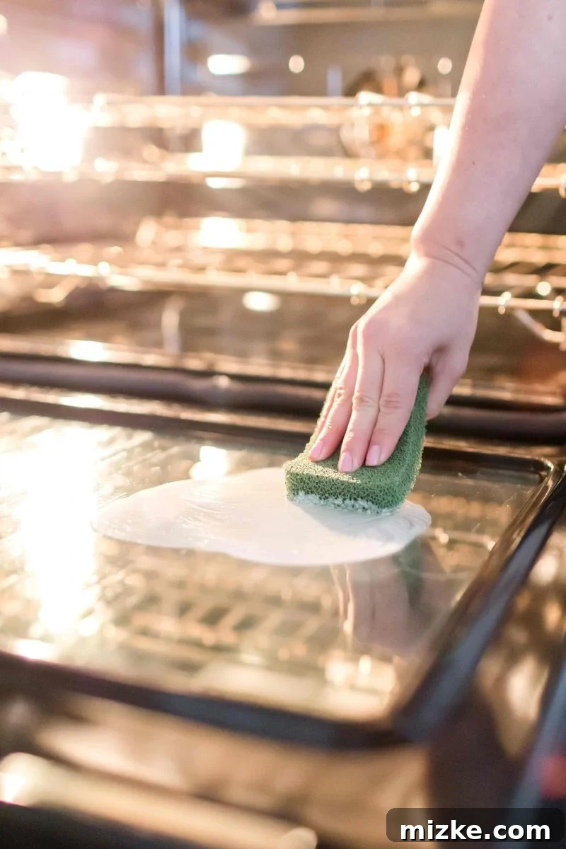 Initial application of Bar Keepers Friend powder on a dirty glass oven door for deep cleaning. Pour Bar Keepers Friend onto your glass oven door as the first step in this effective oven cleaning hack to remove baked-on grease.
