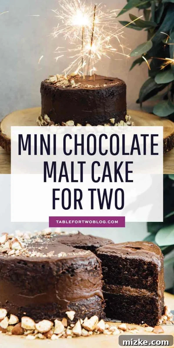 Mini Chocolate Malt Cake: The Perfect Small Batch Dessert This mini chocolate malt cake for two is perfect for any celebration or if you're just craving a chocolate cake and don't want to make a large one! #minicake #chocolatecake #chocolatemalt #malt #cakefortwo #chocolate