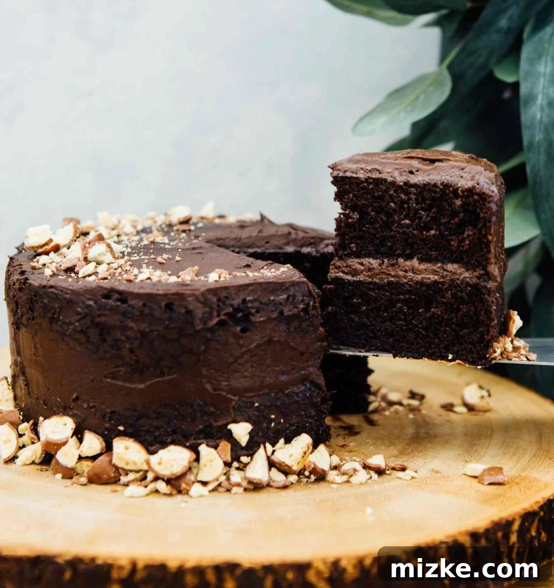 Homemade Mini Chocolate Malt Cake: Layers of Deliciousness This mini chocolate malt cake for two is perfect for any celebration or if you're just craving a chocolate cake and don't want to make a large one! A close-up of the delicious frosting and cake layers.