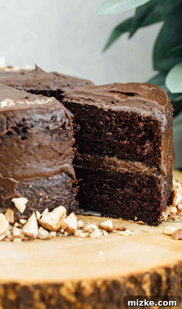 Birthday Mini Chocolate Malt Cake: A Special Treat for Celebrations This mini chocolate malt cake for two is perfect for any celebration or if you're just craving a chocolate cake and don't want to make a large one! Celebrating with sparklers on a birthday cake.