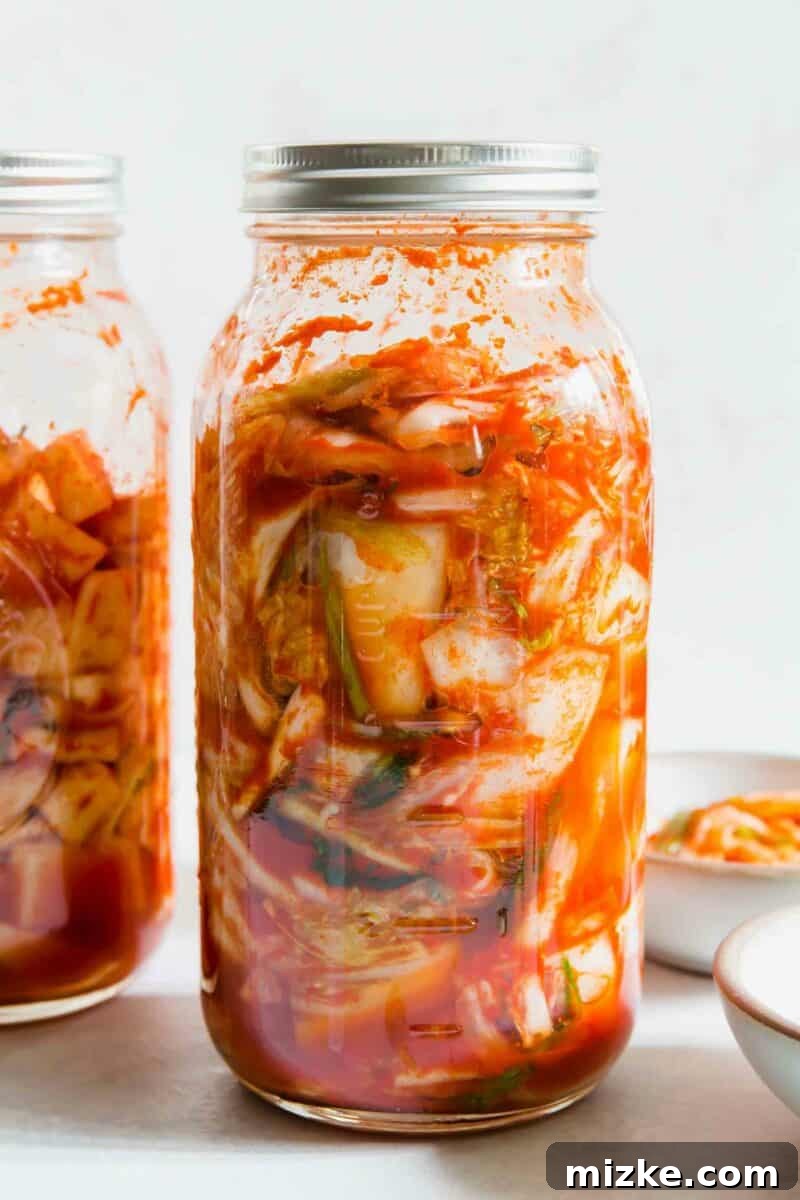 Step-by-step process of preparing the cabbage for authentic homemade kimchi. Hands meticulously coating cut Napa cabbage with the vibrant red kimchi seasoning paste in a large mixing bowl