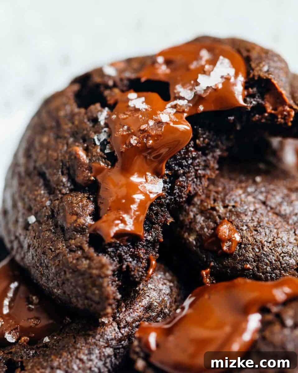 These soft dark chocolate and cherry cookies are a decadent treat! Tart, sweet, and salty are the prominent flavors of this crazy good cookie! Discover your new favorite chocolate and cherry cookie recipe today.