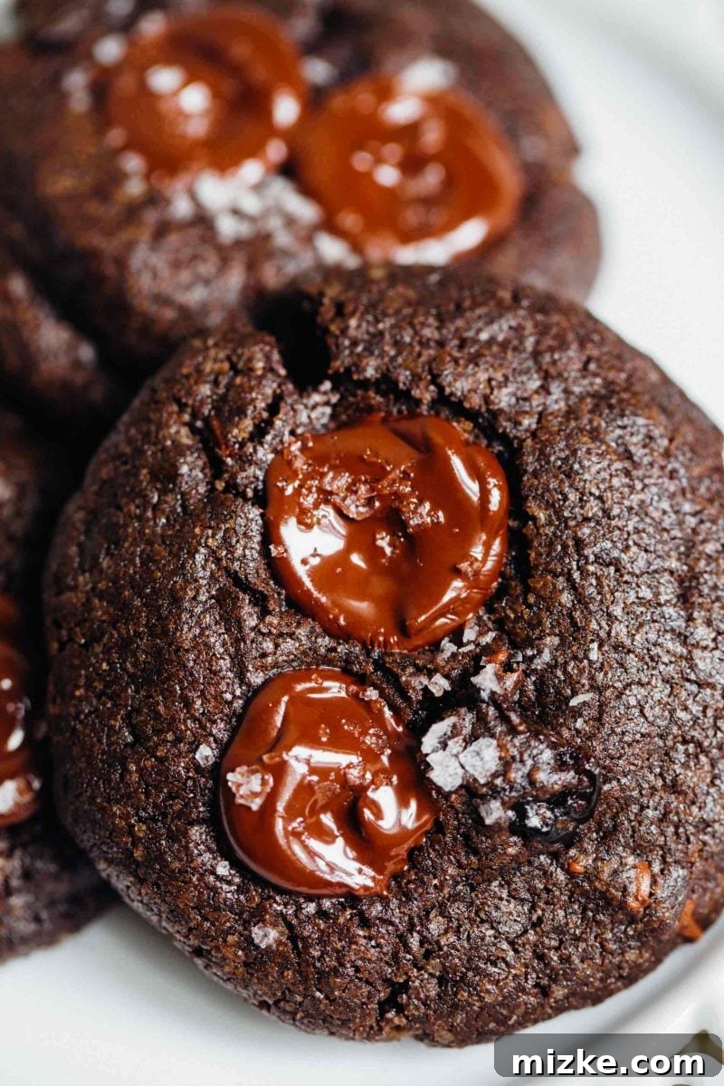 These soft dark chocolate and cherry cookies are a decadent treat! Tart, sweet, and salty are the prominent flavors of this crazy good cookie!
