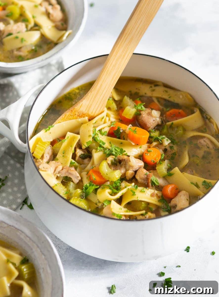 The Right Noodles: Extra Wide for Hearty Chicken Noodle Soup Perfectly cooked extra-wide egg noodles resting in a comforting bowl of chicken noodle soup, ready to be enjoyed.