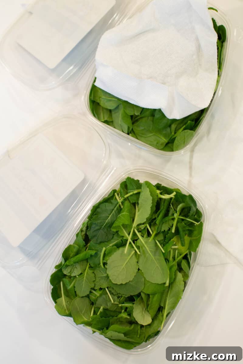 One Day to Prep, A Week to Savor 5 Fresh greens in a container with a paper towel