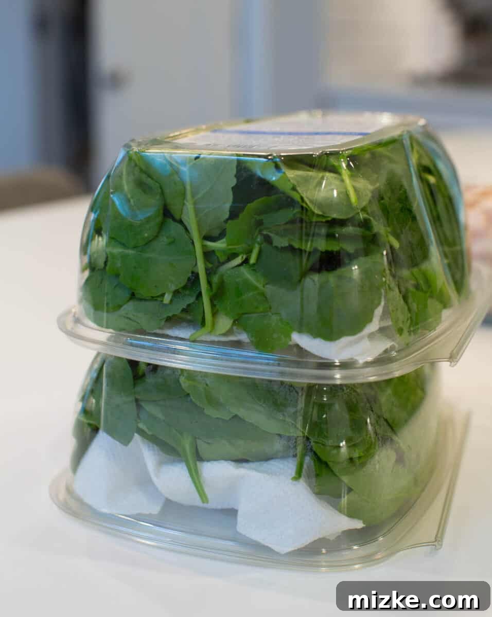One Day to Prep, A Week to Savor 6 Hand replacing a paper towel in a container of greens