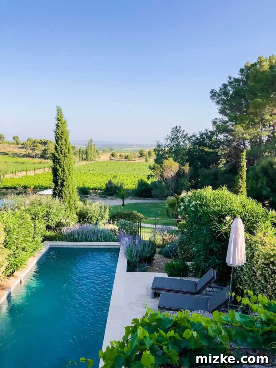 Luxurious private villa with a pool at Château les Carrasses, offering an exclusive experience for guests.