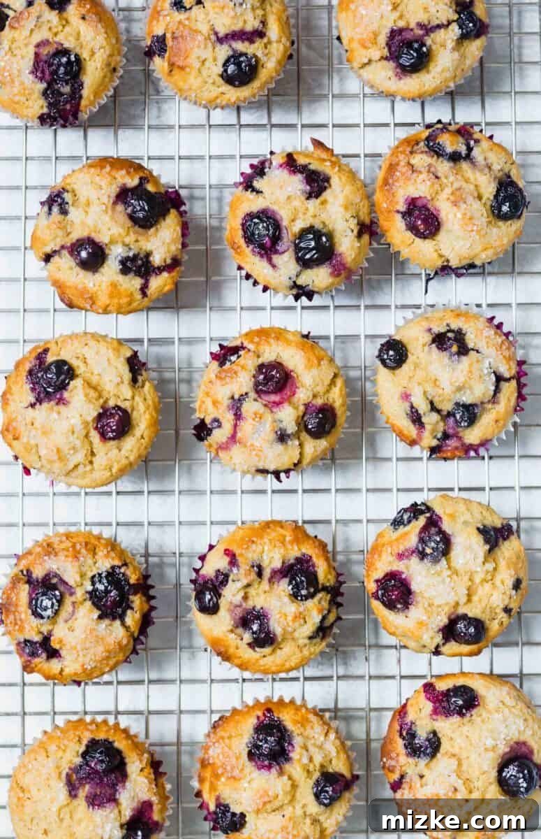 A close-up of tender blueberry overload muffins, freshly baked and generously filled with blueberries, resembling professional bakery quality.
