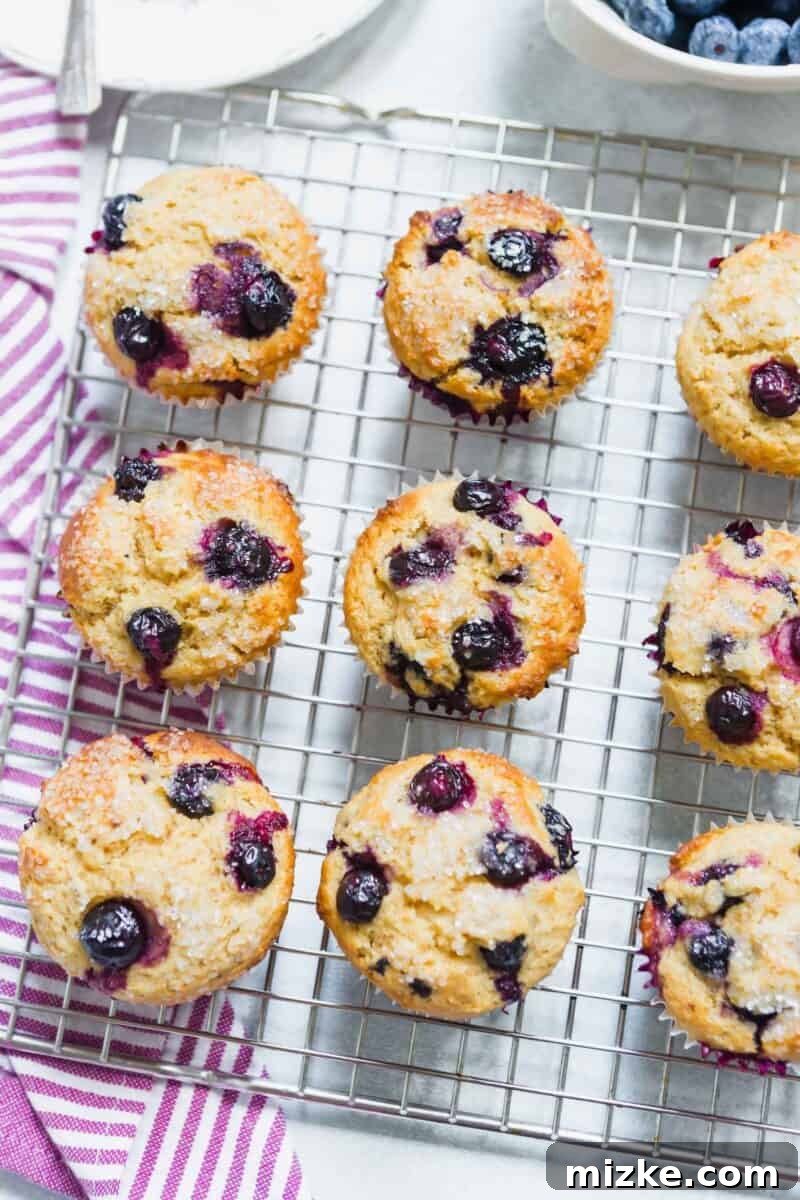 Fresh blueberries being gently folded into a light, airy muffin batter in a mixing bowl, emphasizing proper mixing technique.