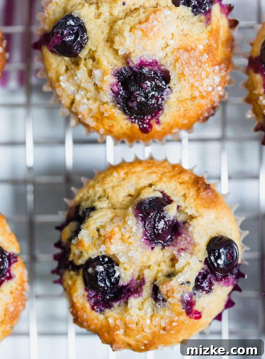 A baking sheet filled with freshly baked blueberry muffins, golden brown and topped with sparkling sugar, cooling on a wire rack.