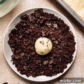 A perfectly rolled ball of cookie dough generously coated in Oreo crumbs, sitting on a plate.