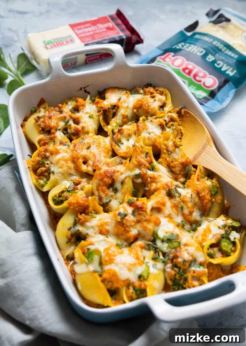 Stuffed Shells Ready to Bake in Casserole Dish Assembled pumpkin stuffed shells carefully arranged in a baking dish, ready for oven baking.