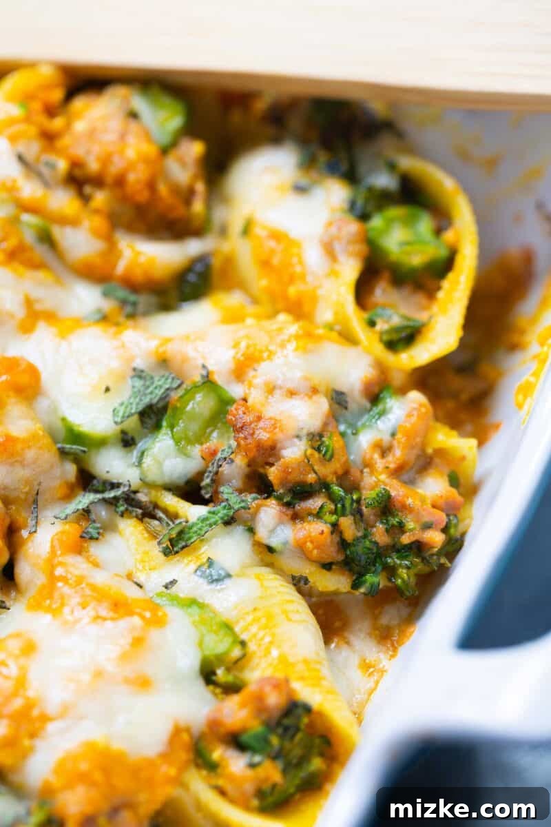 Stuffed Shells Before Final Cheese Layer and Baking Pumpkin stuffed shells casserole visually before the final topping of extra cheese is added.