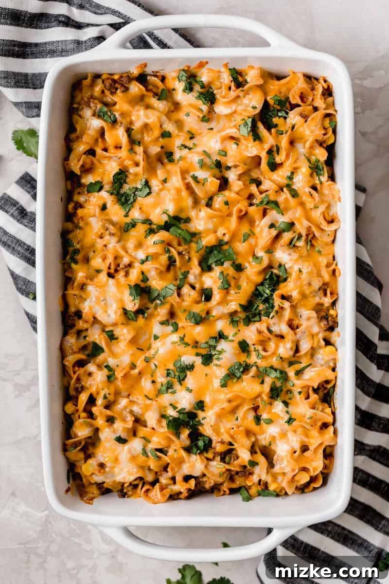 Cheesy Enchilada Pasta Bake 2 A large baking dish filled with cheesy Enchilada Pasta Casserole, freshly baked and ready to serve.