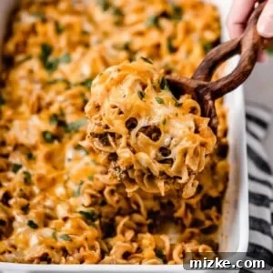 Cheesy Enchilada Pasta Bake 8 Enchilada Pasta Casserole ready to eat