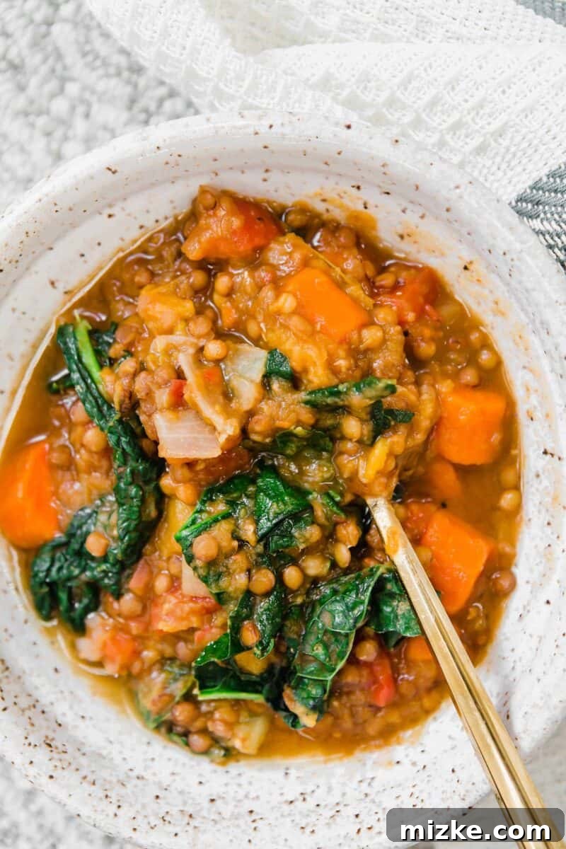 Hearty Instant Pot Lentil and Squash Soup 5 A quick lentil soup made in the Instant Pot and loaded with veggies for a deliciously cozy soup for any time of year!