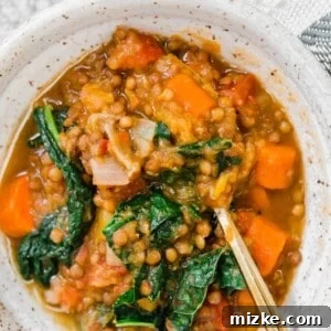 Instant Pot Lentil Soup with Butternut Squash