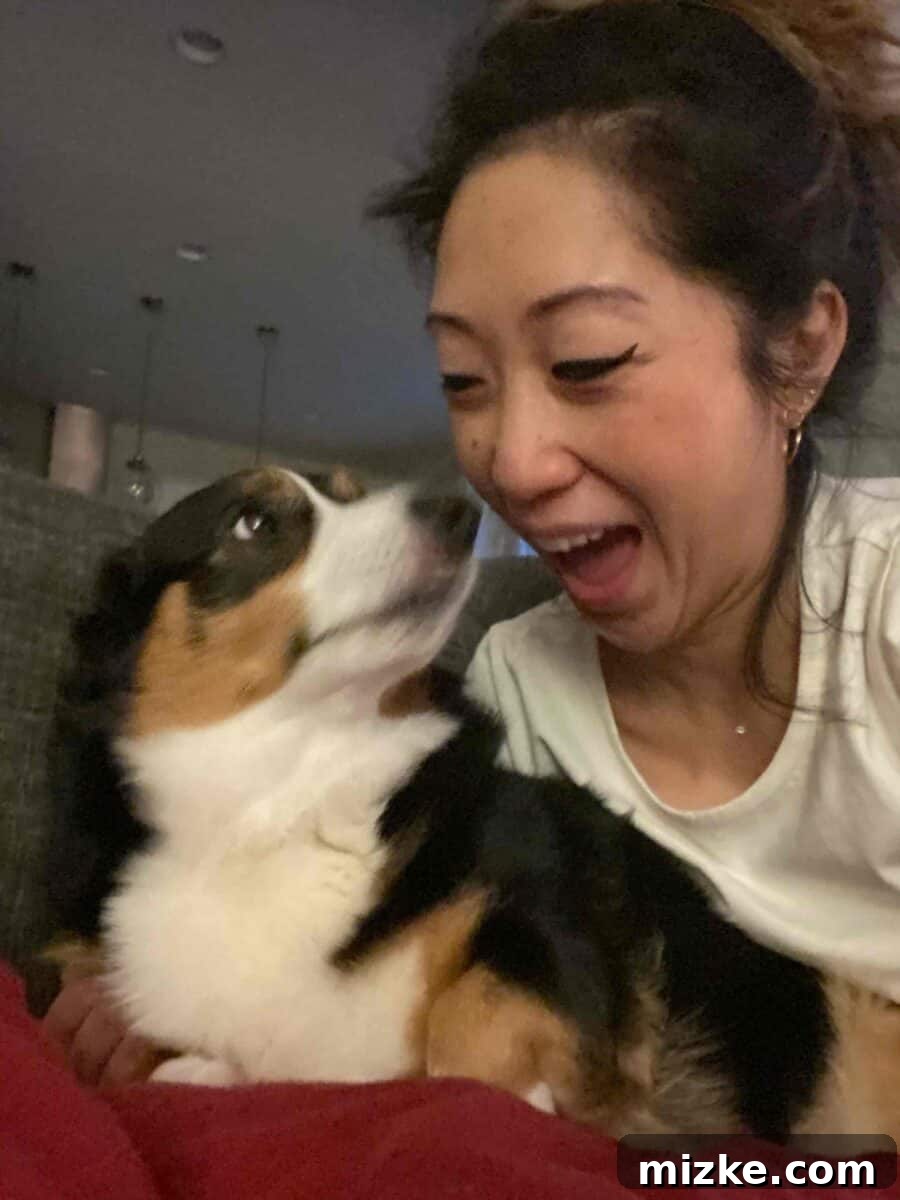 My Big News: A Life Unpacked 3 A tender moment between the author and her dog Winston, symbolizing a deep bond and cherished memories.