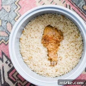 A close-up of the finished Fried Chicken Rice, garnished with furikake, highlighting the rich, savory flavors and fluffy texture created by cooking rice with a take-out fried chicken drumstick.