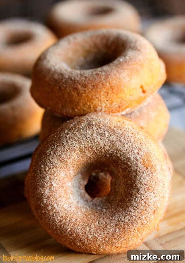 Cozy Pumpkin Spice Cinnamon Sugar Donuts 2 Freshly baked Pumpkin Spice Cinnamon Sugar Donuts on a cooling rack, ready to be coated.