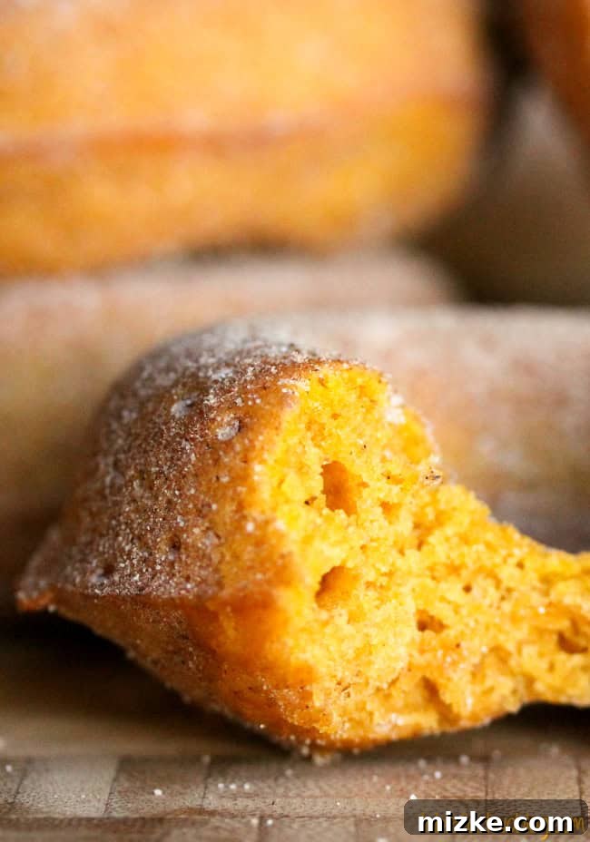Cozy Pumpkin Spice Cinnamon Sugar Donuts 3 Close-up of a perfectly coated Pumpkin Spice Cinnamon Sugar Donut, showing its golden texture.
